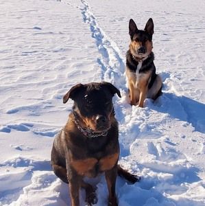 Meet your Posher, Chris